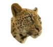 Leopardo Brokers